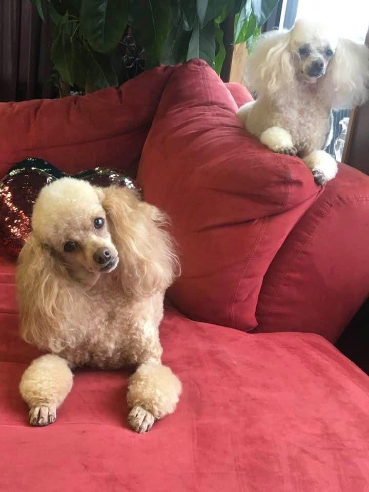 Jupitar and Jazz